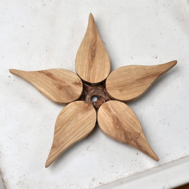 Back of the star