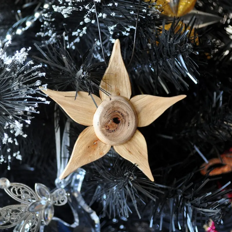 Complete star hanging on the tree.