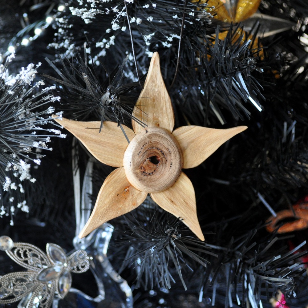 Complete star hanging on the tree.